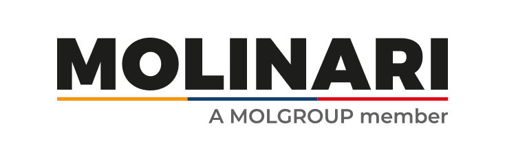 Century of Industrial Excellence Logo